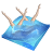 Swimming Synchronized Icon